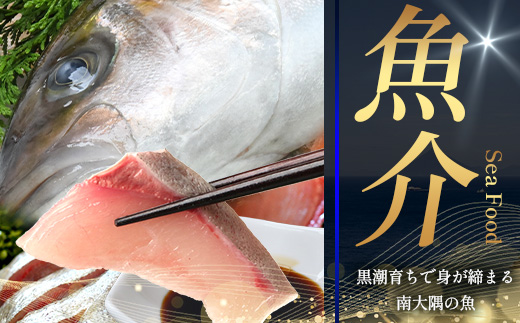 あとからセレクト【ふるさとギフト】5万円分 MN-19 │ 50000 鹿児島県 南大隅町 あとから選べる 返礼品 特産品 プラン 選べる返礼品 あとから選べる ギフト ギフトポイント 後から選ぶ カタログギフト