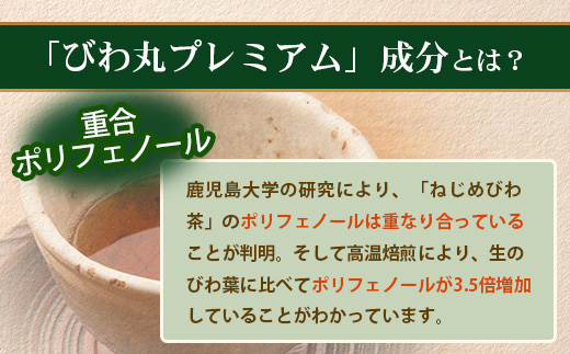 【定期便 全3回】≪3ヶ月連続で毎月お届け≫ びわ丸プレミアム ≪1回あたり(120粒入×1袋) ≫  健康補助食品 びわ茶含有加工食品  TO-10-NP| 国産 びわ茶 びわの葉 サプリメント 乳酸菌 ノンカフェイン ポリフェノール ネコポス 鹿児島県 南大隅町 十津川農場
