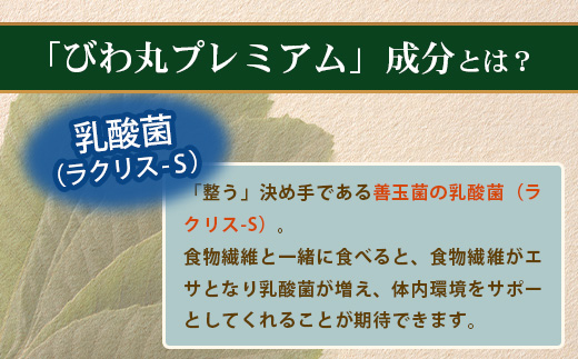 【定期便 全12回】≪12ヶ月連続で毎月お届け≫ びわ丸プレミアム ≪1回あたり(120粒入×1袋) ≫  健康補助食品 びわ茶含有加工食品  TO-12-NP| 国産 びわ茶 びわの葉 サプリメント 乳酸菌 ノンカフェイン ポリフェノール ネコポス 鹿児島県 南大隅町 十津川農場
