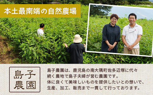 紫色菊芋焙煎パウダー （80g×1袋）　SK-7｜ コーヒー 菊芋 パウダー ノンカフェイン 野菜茶 きくいも お茶 焙煎 ギフト グルメ お取り寄せ 鹿児島県 南大隅町 島子農園