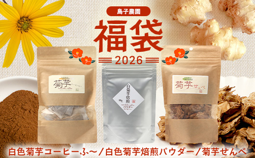 【福袋】白菊芋まるごと満喫３種セット SK-15-fb｜ コーヒー 菊芋 白色菊芋 コーヒー パウダー 菊芋せんべ ノンカフェイン 野菜茶 きくいも お茶 焙煎 ギフト グルメ 鹿児島県 南大隅町 島子農園 福袋