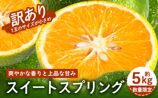【訳あり】【数量限定】鹿児島県南大隅町産 スイートスプリング （S～M玉） 約5kg 【2025年12月中旬以降順次発送】 SK-19 | 柑橘 フルーツ 国産 果物 みかん 期間限定 数量限定 産地直送 もぎたて 新鮮 果汁 たっぷり ミカン スイートスプリング 5kg 南大隅町 鹿児島県 島子農園