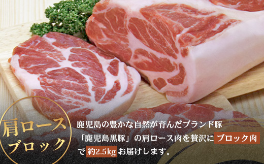［新春］≪全3回≫【南大隅町限定】食べ応え満点！ ★ かごしま黒豚 ブロック肉 定期便 ★ 鹿児島県産 NS-26 ｜ 肉 豚肉 ぶた 豚 ブタ 黒豚 鹿児島黒豚 ロース ブロック バラ 肩ロース バラブロック 肩ロースブロック ファミリー 業務用 産地直送 限定 鹿児島県 南大隅町 南州農場