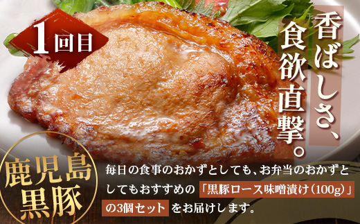 ［新春］≪全3回≫ 鹿児島県産 黒豚三昧 定期便 ♪ ＜ 黒豚味噌漬け 生姜焼き 生ハンバーグ ＞ ★☆＼＼ 黒豚ロース味噌漬け バナナマンの早起きせっかくグルメで紹介されました！！／／☆★ 南州農場 かごしま黒豚 NS-29 | 肉 お肉 豚肉 豚 にく ぶた 鹿児島黒豚 ハンバーグ 味噌漬け 生姜焼き おかず ジューシー お弁当 国産 肉定期便 鹿児島県 南大隅町 南州農場