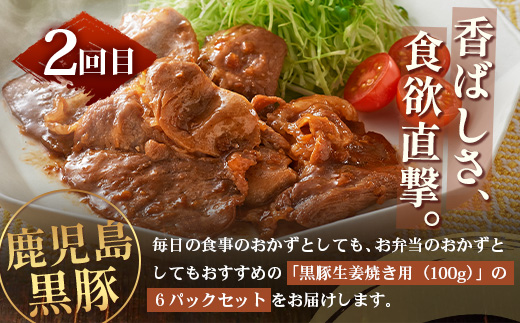 ［新春］≪全3回≫ 鹿児島県産 黒豚三昧 定期便 ♪ ＜ 黒豚味噌漬け 生姜焼き 生ハンバーグ ＞ ★☆＼＼ 黒豚ロース味噌漬け バナナマンの早起きせっかくグルメで紹介されました！！／／☆★ 南州農場 かごしま黒豚 NS-29 | 肉 お肉 豚肉 豚 にく ぶた 鹿児島黒豚 ハンバーグ 味噌漬け 生姜焼き おかず ジューシー お弁当 国産 肉定期便 鹿児島県 南大隅町 南州農場