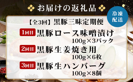 ［新春］≪全3回≫ 鹿児島県産 黒豚三昧 定期便 ♪ ＜ 黒豚味噌漬け 生姜焼き 生ハンバーグ ＞ ★☆＼＼ 黒豚ロース味噌漬け バナナマンの早起きせっかくグルメで紹介されました！！／／☆★ 南州農場 かごしま黒豚 NS-29 | 肉 お肉 豚肉 豚 にく ぶた 鹿児島黒豚 ハンバーグ 味噌漬け 生姜焼き おかず ジューシー お弁当 国産 肉定期便 鹿児島県 南大隅町 南州農場