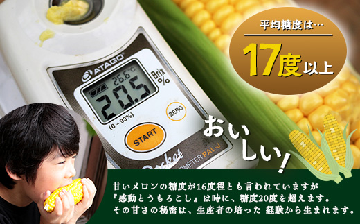 【定期便・年4回】農家の感動シリーズA(約9.1kg) FR-1｜冷凍焼き芋 ゴールドラッシュ とうもろこし 塩茹で 落花生 おおまさり ピーナッツ 芋 さつまいも 紅はるか 野菜定期便 旬 産地直送 サラダ 南大隅町