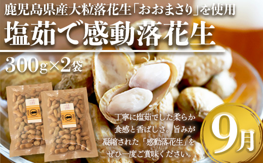 【定期便・年4回】農家の感動シリーズA(約9.1kg) FR-1｜冷凍焼き芋 ゴールドラッシュ とうもろこし 塩茹で 落花生 おおまさり ピーナッツ 芋 さつまいも 紅はるか 野菜定期便 旬 産地直送 サラダ 南大隅町