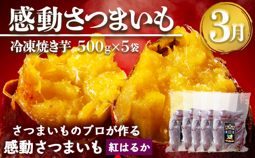 【定期便・年4回】農家の感動シリーズB (約16.4kg) FR-2｜冷凍焼き芋 ゴールドラッシュ とうもろこし 塩茹で 落花生 おおまさり ピーナッツ 芋 さつまいも 紅はるか 野菜定期便 旬 産地直送 サラダ 南大隅町