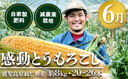 【定期便・年4回】農家の感動シリーズB (約16.4kg) FR-2｜冷凍焼き芋 ゴールドラッシュ とうもろこし 塩茹で 落花生 おおまさり ピーナッツ 芋 さつまいも 紅はるか 野菜定期便 旬 産地直送 サラダ 南大隅町