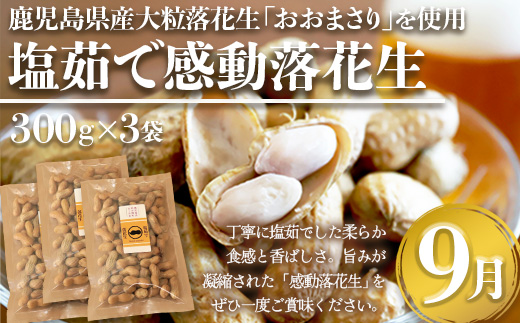 【定期便・年4回】農家の感動シリーズB (約16.4kg) FR-2｜冷凍焼き芋 ゴールドラッシュ とうもろこし 塩茹で 落花生 おおまさり ピーナッツ 芋 さつまいも 紅はるか 野菜定期便 旬 産地直送 サラダ 南大隅町