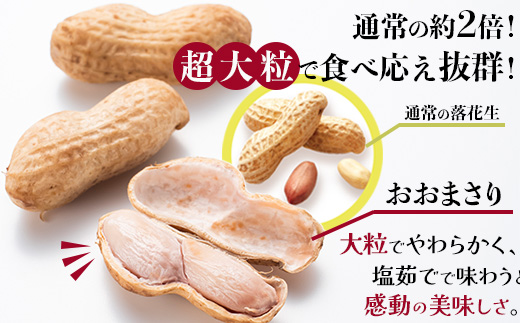 【先行予約 2026年9月下旬～順次発送】鹿児島県産 塩茹でジャンボ落花生（おおまさり） 300g×2パック 冷凍 FR-3 | ラッカセイ ピーナッツ 国産 国産最高級品種 おおまさり 大粒 柔らかい 歯ごたえ おやつ おつまみ ギフト お中元 お歳暮 鹿児島県 南大隅町 株式会社フォレスト