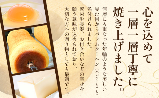 【2026年3月中旬から発送】だいたんな！恋するショコラ & バウムセット（だいたんなショコラ6個＋バウムクーヘン・プレーン）SH-3| たんかん ソース ムース チョコレートムース ショコラ贅沢 スイーツ フルーツ プリン バウムクーヘン バームクーヘン スイーツ ケーキ 焼き菓子 洋菓子 手作り おしゃれ オリジナル ギフトボックス プレゼント 鹿児島県 南大隅町 31℃LINE花子 