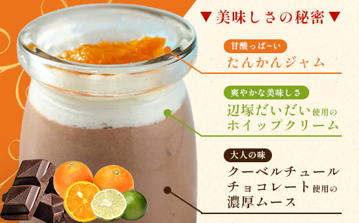 【2026年3月中旬から発送】 だいたんな！恋するショコラ & バウムセット(だいたんなショコラ6個＋≪極≫たんかんバウム）SH-4| たんかん ソース ムース チョコレートムース ショコラ贅沢 スイーツ フルーツ プリン バウムクーヘン バームクーヘン スイーツ ケーキ 焼き菓子 洋菓子 手作り おしゃれ オリジナル ギフトボックス プレゼント 鹿児島県 南大隅町 31℃LINE花子 