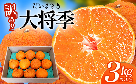 ãæ°ééå®ããä»ãæ¬ïŒèš³ããïŒã倧å°å£ãçŽ3ãïŒ10çïœ12çïŒ MS-2ïœæ°ééå® ææ© ã¿ãã ãã«ã³ èæ æç© çæ æ¬ ãã«ãŒã ãã ãã® åœç£ ç£å°çŽé å®¶åºçš äœå€å²¬