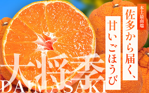 ãæ°ééå®ããä»ãæ¬ïŒèš³ããïŒã倧å°å£ãçŽ3ãïŒ10çïœ12çïŒ MS-2ïœæ°ééå® ææ© ã¿ãã ãã«ã³ èæ æç© çæ æ¬ ãã«ãŒã ãã ãã® åœç£ ç£å°çŽé å®¶åºçš äœå€å²¬