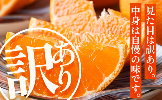 ãæ°ééå®ããä»ãæ¬ïŒèš³ããïŒã倧å°å£ãçŽ3ãïŒ10çïœ12çïŒ MS-2ïœæ°ééå® ææ© ã¿ãã ãã«ã³ èæ æç© çæ æ¬ ãã«ãŒã ãã ãã® åœç£ ç£å°çŽé å®¶åºçš äœå€å²¬