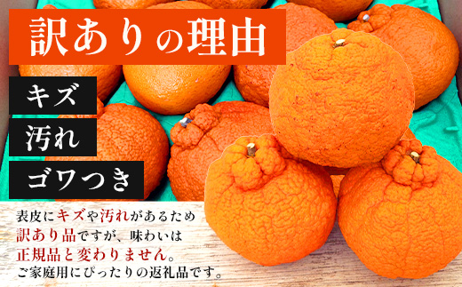 ãæ°ééå®ããä»ãæ¬ïŒèš³ããïŒã倧å°å£ãçŽ3ãïŒ10çïœ12çïŒ MS-2ïœæ°ééå® ææ© ã¿ãã ãã«ã³ èæ æç© çæ æ¬ ãã«ãŒã ãã ãã® åœç£ ç£å°çŽé å®¶åºçš äœå€å²¬