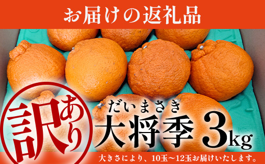 ãæ°ééå®ããä»ãæ¬ïŒèš³ããïŒã倧å°å£ãçŽ3ãïŒ10çïœ12çïŒ MS-2ïœæ°ééå® ææ© ã¿ãã ãã«ã³ èæ æç© çæ æ¬ ãã«ãŒã ãã ãã® åœç£ ç£å°çŽé å®¶åºçš äœå€å²¬