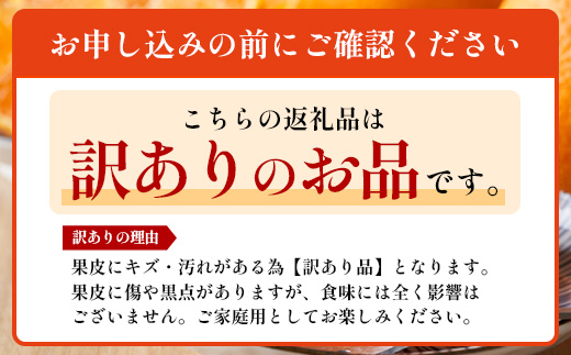 ãæ°ééå®ããä»ãæ¬ïŒèš³ããïŒã倧å°å£ãçŽ3ãïŒ10çïœ12çïŒ MS-2ïœæ°ééå® ææ© ã¿ãã ãã«ã³ èæ æç© çæ æ¬ ãã«ãŒã ãã ãã® åœç£ ç£å°çŽé å®¶åºçš äœå€å²¬