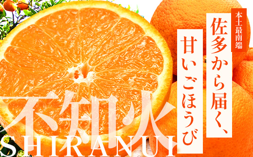 【まもなく終了！】【今が旬！訳あり！】鹿児島県 南大隅町産 不知火(しらぬい) 約3㎏(10～12玉) MS-1｜数量限定 柑橘 みかん ミカン 蜜柑 果物 生果 旬 フルーツ くだもの 国産 産地直送 家庭用 佐多岬