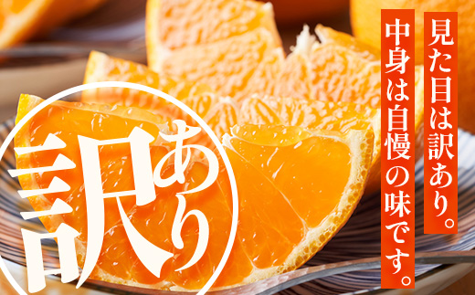 【まもなく終了！】【今が旬！訳あり！】鹿児島県 南大隅町産 不知火(しらぬい) 約3㎏(10～12玉) MS-1｜数量限定 柑橘 みかん ミカン 蜜柑 果物 生果 旬 フルーツ くだもの 国産 産地直送 家庭用 佐多岬