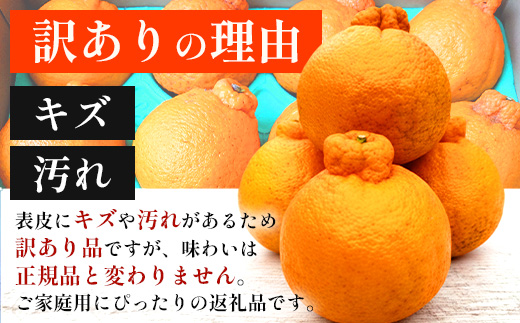 【まもなく終了！】【今が旬！訳あり！】鹿児島県 南大隅町産 不知火(しらぬい) 約3㎏(10～12玉) MS-1｜数量限定 柑橘 みかん ミカン 蜜柑 果物 生果 旬 フルーツ くだもの 国産 産地直送 家庭用 佐多岬