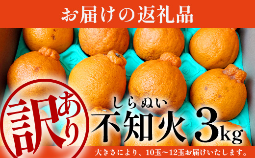 【まもなく終了！】【今が旬！訳あり！】鹿児島県 南大隅町産 不知火(しらぬい) 約3㎏(10～12玉) MS-1｜数量限定 柑橘 みかん ミカン 蜜柑 果物 生果 旬 フルーツ くだもの 国産 産地直送 家庭用 佐多岬
