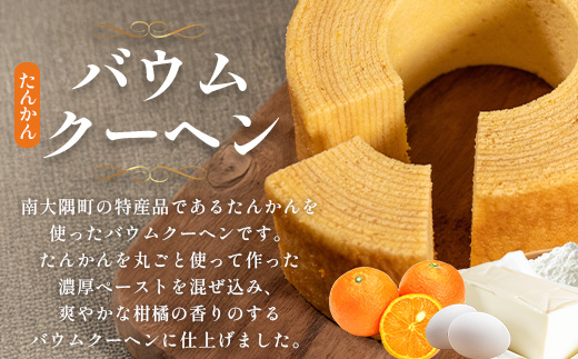 だいたんな！とろけるスイーツセット & バウムセット（だいたんな詰め合わせ６個＋バウムクーヘン・≪極≫ たんかん）SH-12| たんかん ソース ムース チョコレートムース ショコラ 辺塚だいだい タンカン ゼリー スイーツ フルーツ プリン バウムクーヘン バームクーヘン スイーツ ケーキ 焼き菓子 洋菓子 プレゼント 鹿児島県 南大隅町 31℃LINE花子