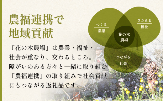 《全12回定期便》花の木農場【豚しゃぶセット】3種 約900g HK-23│12カ月 おとどけ 豚肉 しゃぶしゃぶ スライス バラ ロース モモ 3種 鍋 肉 国産 ノウフク 農福連携 鹿児島県 南大隅町 第2花の木ファーム