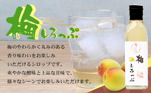 【先行予約・数量限定】日本料理人が作る シロップ 3種類 Bセット/辺塚だいだいシロップ・梅シロップ・生姜シロップ (各240ｇ×1瓶) GN-15｜鹿児島県 南大隅町 果物 うめ ショウガ しょうが フルーツ シロップ 希釈 甘み 酸味 甘さ控えめ お菓子づくり 手づくり 新鮮 旬 銀シャリ中はら