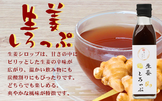 【先行予約・数量限定】日本料理人が作る シロップ 3種類 Bセット/辺塚だいだいシロップ・梅シロップ・生姜シロップ (各240ｇ×1瓶) GN-15｜鹿児島県 南大隅町 果物 うめ ショウガ しょうが フルーツ シロップ 希釈 甘み 酸味 甘さ控えめ お菓子づくり 手づくり 新鮮 旬 銀シャリ中はら