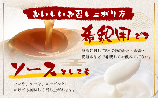 【先行予約・数量限定】日本料理人が作る シロップ 3種類 Bセット/辺塚だいだいシロップ・梅シロップ・生姜シロップ (各240ｇ×1瓶) GN-15｜鹿児島県 南大隅町 果物 うめ ショウガ しょうが フルーツ シロップ 希釈 甘み 酸味 甘さ控えめ お菓子づくり 手づくり 新鮮 旬 銀シャリ中はら