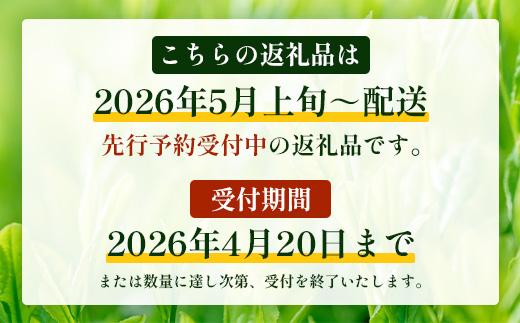 【先行予約】【2026年摘みたて！】新茶 ナナ茶 被せ茶 さえみどり 80g×2パック RS-7｜お茶 茶 茶葉 お茶の葉 ケルセチン 緑茶 日本茶 鹿児島茶 国産 おしゃれ ブレンド茶 シングルオリジン 鹿児島県 南大隅町 株式会社Re-Shine