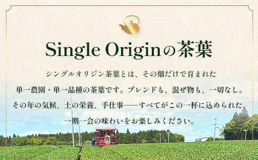 【先行予約】【2026年摘みたて！】新茶 ナナ茶 被せ茶 さえみどり 80g×2パック RS-7｜お茶 茶 茶葉 お茶の葉 ケルセチン 緑茶 日本茶 鹿児島茶 国産 おしゃれ ブレンド茶 シングルオリジン 鹿児島県 南大隅町 株式会社Re-Shine