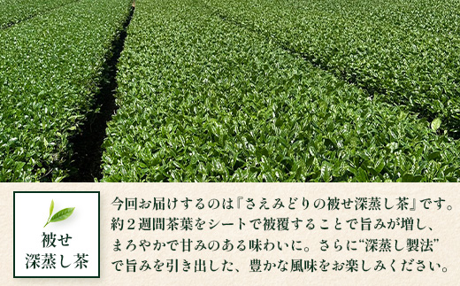 【2026年摘みたて！】新茶 ナナ茶 被せ茶 さえみどり 80g×2パック RS-8｜お茶 茶 茶葉 お茶の葉 ケルセチン 緑茶 日本茶 鹿児島茶 国産 おしゃれ ブレンド茶 シングルオリジン 鹿児島県 南大隅町 株式会社Re-Shine