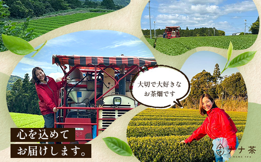 【2026年摘みたて！】新茶 ナナ茶 被せ茶 あさのか 80g×2パック RS-10｜お茶 茶 茶葉 お茶の葉 ケルセチン 緑茶 高級緑茶 高級 日本茶 鹿児島茶 国産 おしゃれ ブレンド茶 シングルオリジン 被覆栽培 鹿児島県 南大隅町 株式会社Re-Shine