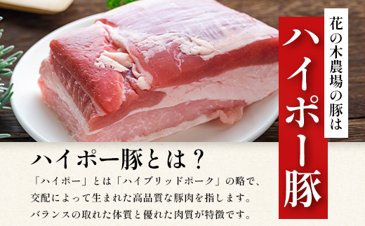 ãå
šïŒåå®æäŸ¿ãå³éžïŒè±ã®æšèŸ²å Žã¹ãã·ã£ã«å®æäŸ¿ HK-26 â å®æäŸ¿ ãã ããŒã³ã³ ã¯ã©ãããã äººæ° è±è ããã¶ããã¶ è±ããã¶ ã¹ã©ã€ã¹ ãã© ããŒã¹ ã¢ã¢ é æ£è ããã ãåŒåœ è åœç£ ããŠã㯠蟲çŠé£æº 鹿å
å³¶ç å倧é
çº ç¬¬2è±ã®æšãã¡ãŒã