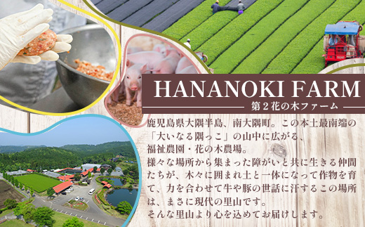 ãå
šïŒåå®æäŸ¿ãå³éžïŒè±ã®æšèŸ²å Žã¹ãã·ã£ã«å®æäŸ¿ HK-26 â å®æäŸ¿ ãã ããŒã³ã³ ã¯ã©ãããã äººæ° è±è ããã¶ããã¶ è±ããã¶ ã¹ã©ã€ã¹ ãã© ããŒã¹ ã¢ã¢ é æ£è ããã ãåŒåœ è åœç£ ããŠã㯠蟲çŠé£æº 鹿å
å³¶ç å倧é
çº ç¬¬2è±ã®æšãã¡ãŒã