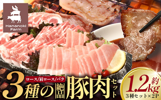 ３種の絶品豚肉セット（ロース・肩ロース・豚バラ）約1,200g HK-29│ 豚 ぶた 肉 焼肉 食べ比べ 厳選 ロース 肩ロース 豚バラ 部位別 焼肉屋さん ギフト セット BBQ バーベキュー お弁当 国産 ノウフク 農福連携 鹿児島県 南大隅町 第2花の木ファーム