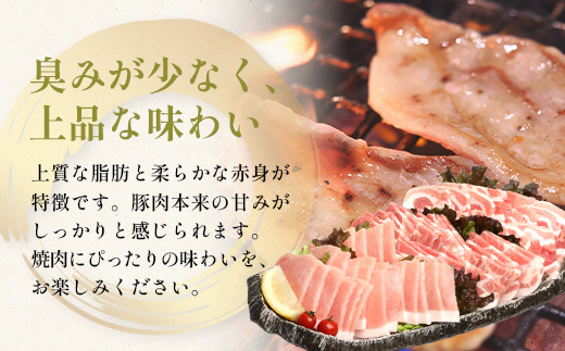 ãæ¯ã®æ¥ã®ãããïŒçš®ã®çµ¶åè±èã»ããïŒããŒã¹ã»è©ããŒã¹ã»è±ãã©ïŒçŽ1,200g HK-29-moâ æ¯ã®æ¥ è± ã¶ã è çŒè é£ã¹æ¯ã¹ å³éž éšäœå¥ çŒèå±ãã ã®ãã ã»ãã BBQ ããŒããã¥ãŒ ãåŒåœ åœç£ ããŠã㯠蟲çŠé£æº 鹿å
å³¶ç å倧é
çº ç¬¬2è±ã®æšãã¡ãŒã