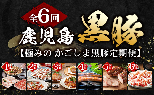 【全6回】極みの かごしま黒豚 定期便 NS-36| 鹿児島 かごしま 豚 豚肉 ぶた おかず しゃぶしゃぶ 餃子 味噌漬け 生ハム 生姜焼き ハンバーグ ウインナー ハム ソーセージ 焼き豚 切り落とし もも肉 肩ロース バラ 人気 贈答 ギフト定期便 鹿児島県 南大隅町