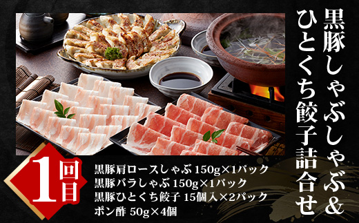 【全6回】極みの かごしま黒豚 定期便 NS-36| 鹿児島 かごしま 豚 豚肉 ぶた おかず しゃぶしゃぶ 餃子 味噌漬け 生ハム 生姜焼き ハンバーグ ウインナー ハム ソーセージ 焼き豚 切り落とし もも肉 肩ロース バラ 人気 贈答 ギフト定期便 鹿児島県 南大隅町