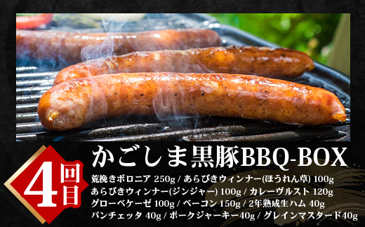 【全6回】極みの かごしま黒豚 定期便 NS-36| 鹿児島 かごしま 豚 豚肉 ぶた おかず しゃぶしゃぶ 餃子 味噌漬け 生ハム 生姜焼き ハンバーグ ウインナー ハム ソーセージ 焼き豚 切り落とし もも肉 肩ロース バラ 人気 贈答 ギフト定期便 鹿児島県 南大隅町