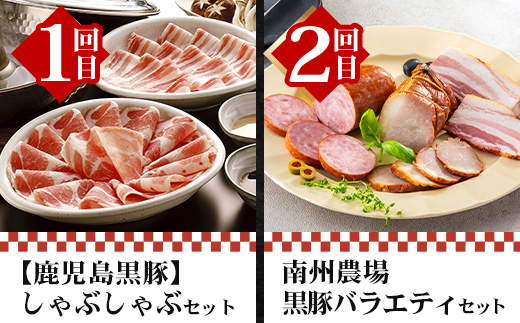 ãå
š12åãè³çŠã® ããããŸé»è± å³ããå®æäŸ¿ NS-37 | 鹿å
å³¶ ããããŸ è± è±è ã¶ã ããã ããã¶ããã¶ é€å å³å挬ã çãã çå§çŒã ãã³ããŒã° ãŠã€ã³ã㌠ãã ãœãŒã»ãŒãž çŒãè± åãèœãšã ããè è©ããŒã¹ ãã© äººæ° å®æäŸ¿ 鹿å
å³¶ç å倧é
çº