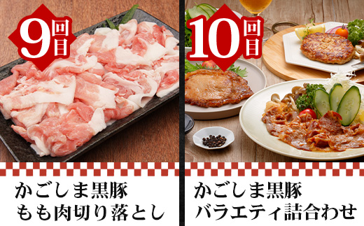 ãå
š12åãè³çŠã® ããããŸé»è± å³ããå®æäŸ¿ NS-37 | 鹿å
å³¶ ããããŸ è± è±è ã¶ã ããã ããã¶ããã¶ é€å å³å挬ã çãã çå§çŒã ãã³ããŒã° ãŠã€ã³ã㌠ãã ãœãŒã»ãŒãž çŒãè± åãèœãšã ããè è©ããŒã¹ ãã© äººæ° å®æäŸ¿ 鹿å
å³¶ç å倧é
çº