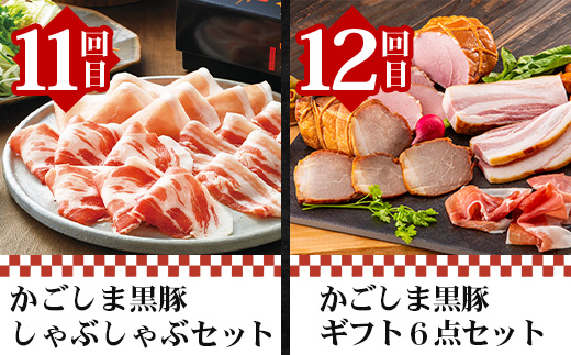 ãå
š12åãè³çŠã® ããããŸé»è± å³ããå®æäŸ¿ NS-37 | 鹿å
å³¶ ããããŸ è± è±è ã¶ã ããã ããã¶ããã¶ é€å å³å挬ã çãã çå§çŒã ãã³ããŒã° ãŠã€ã³ã㌠ãã ãœãŒã»ãŒãž çŒãè± åãèœãšã ããè è©ããŒã¹ ãã© äººæ° å®æäŸ¿ 鹿å
å³¶ç å倧é
çº