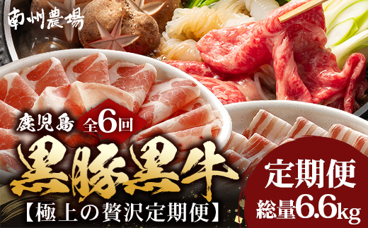 【定期便全6回】黒豚・黒牛の極上の贅沢定期便 〜牛肉と豚肉交互に楽しむ贅沢なひととき〜 NS-38 | 牛 肉 お肉 ブランド牛 黒毛和牛 鹿児島黒豚 黒豚 豚肉 豚 ぶた肉 霜降り サシ ロース しゃぶしゃぶ すき焼き すきやき 甘い やわらかい 冷凍 産地直送 肉定期便 南大隅町