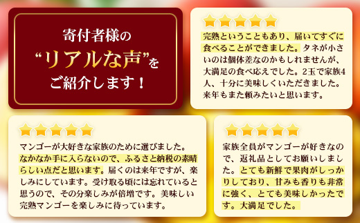 ≪先行予約・数量限定≫【訳あり】 ☆本土最南端☆佐多の果樹園で育てた 完熟アップルマンゴー1kg (2～3玉) 家庭用【2026年7月上旬以降順次発送】 ST-409 ｜鹿児島県 南大隅町 産地直送 旬 マンゴー フルーツ 果物 くだもの 訳アリ わけあり アップルマンゴー 家庭用 第一佐多果樹園
