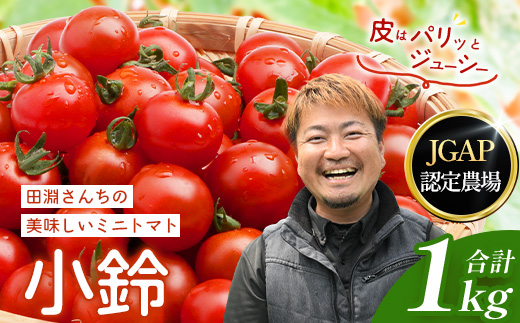 田淵さんちの美味しい ミニトマト 小鈴（約1kg）GP-708｜野菜 トマト ミニトマト 産地直送 ミニトマト 新鮮 トマト 南大隅町産 ミニトマト おいしい ミニトマト